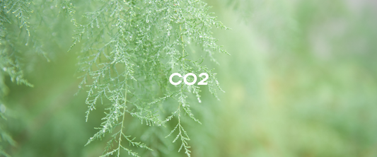 nature co2 emissions