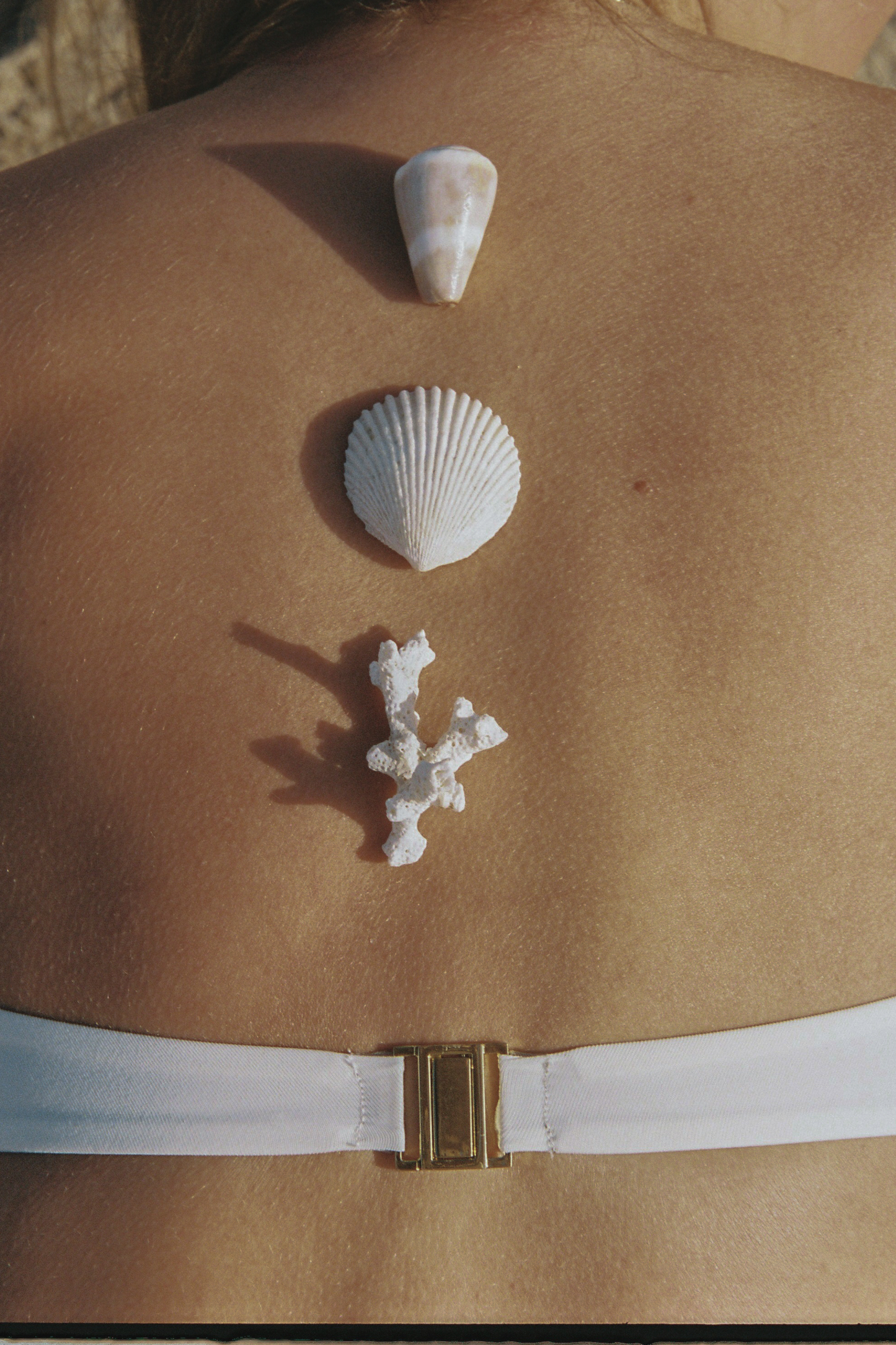 Seashells and coral on a women's back with a white bikini clasped